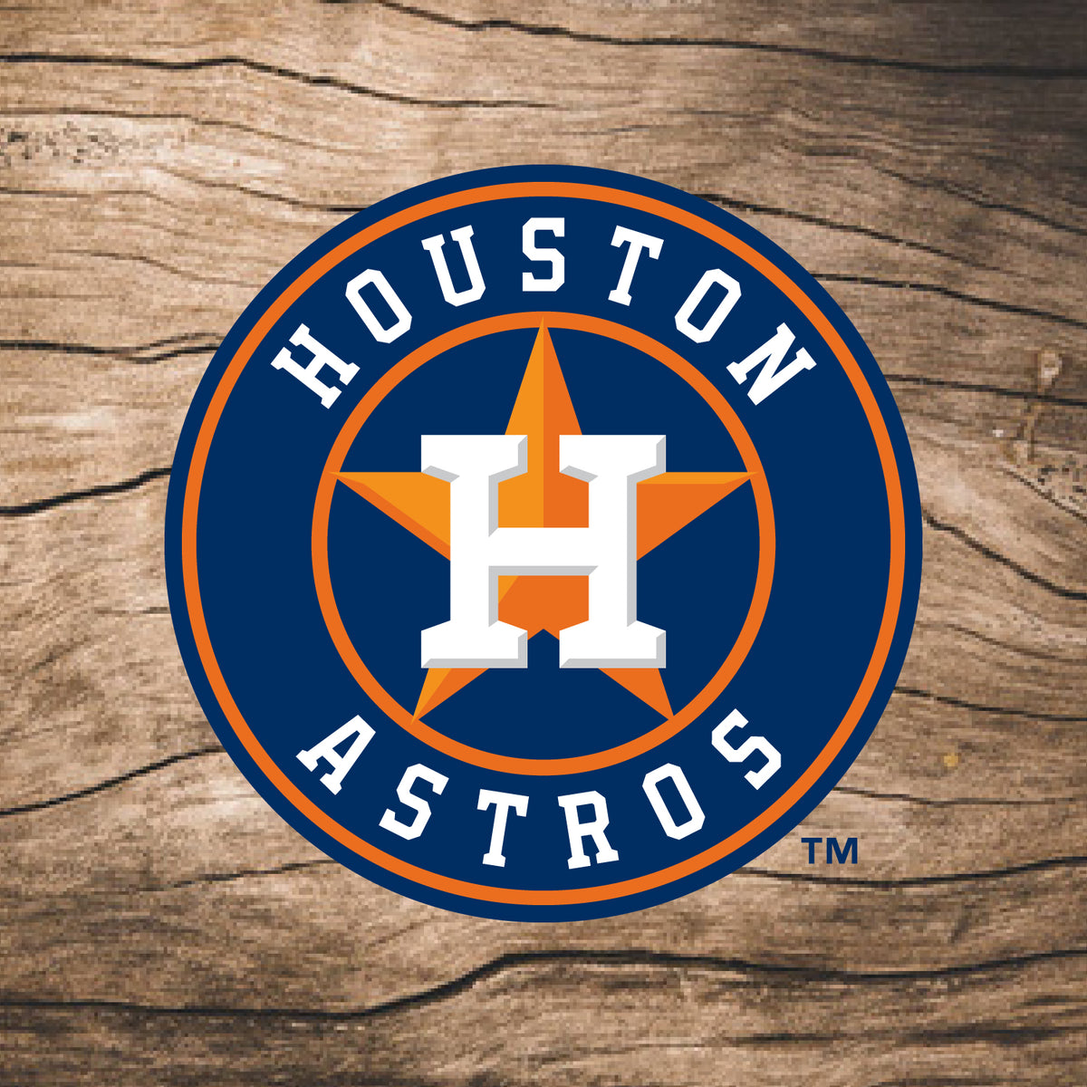 Houston Astros Team Logo Wood 18 Bat – Coopersburg