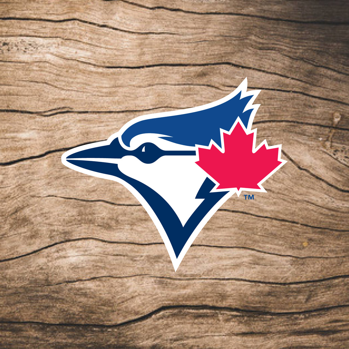 Toronto Blue Jays 8' Bat Pen – Coopersburg