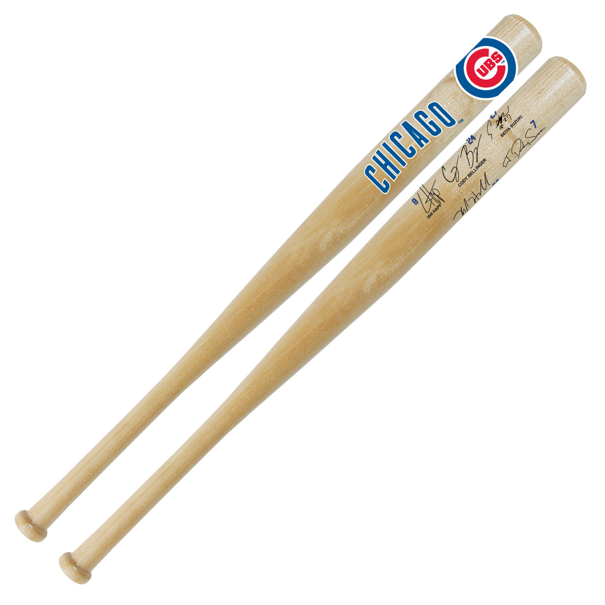 Chicago Cubs Team Signature 18