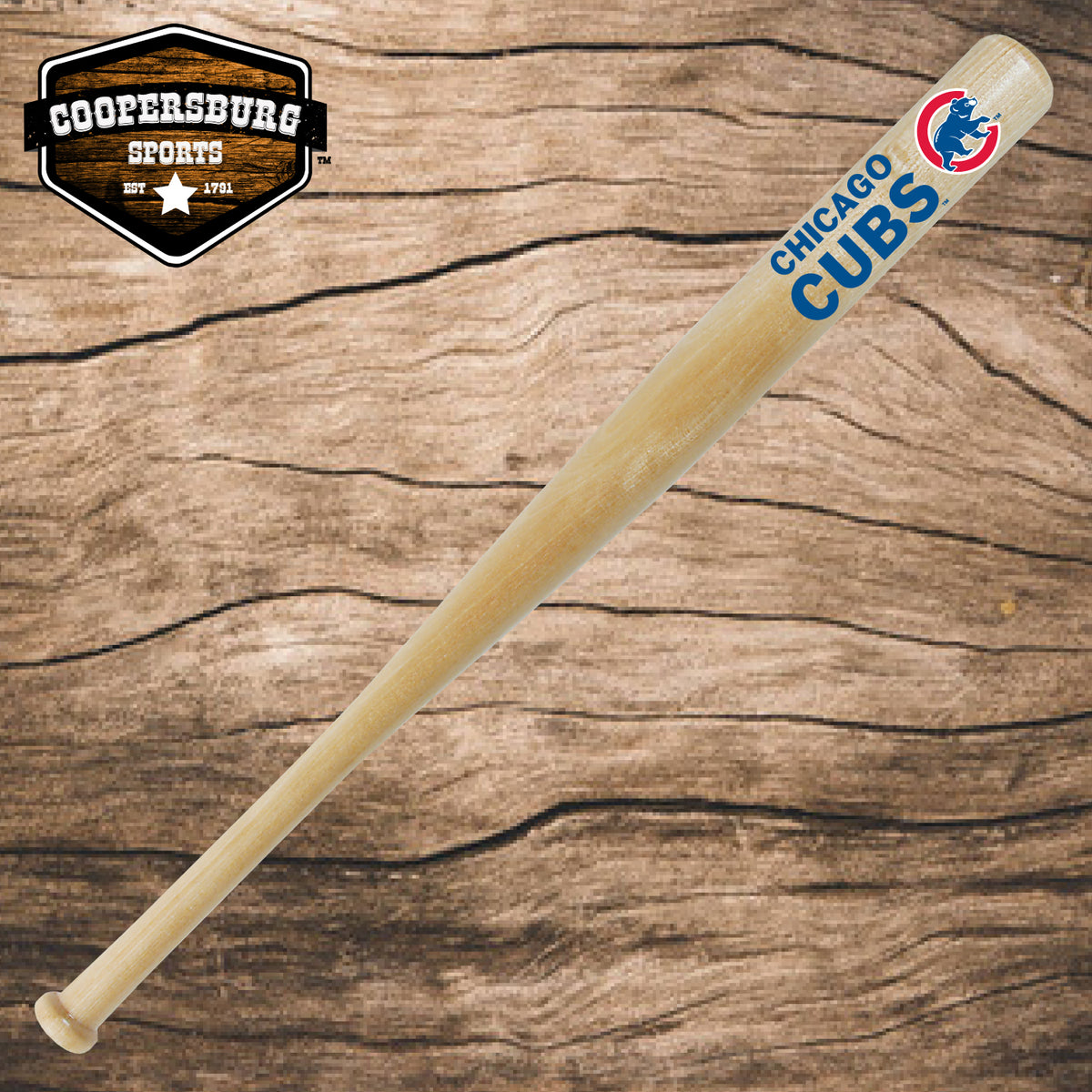 Atlanta Braves Team Logo Wood 18 Mini Bat