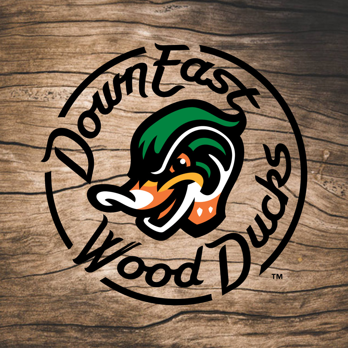 Down East Wood Ducks – Coopersburg