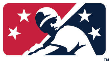 Arizona Diamondbacks Team Logo Wood 18 Mini Bat – Coopersburg